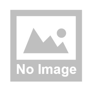 科技使命:更人性化